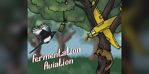 Cover image for Fermentation Aviation
