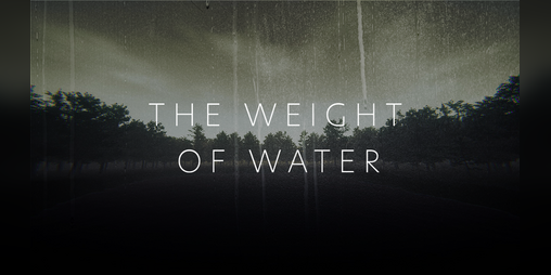 Cover image for The Weight of Water