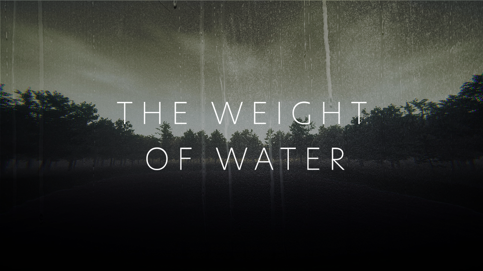 The Weight of Water cover