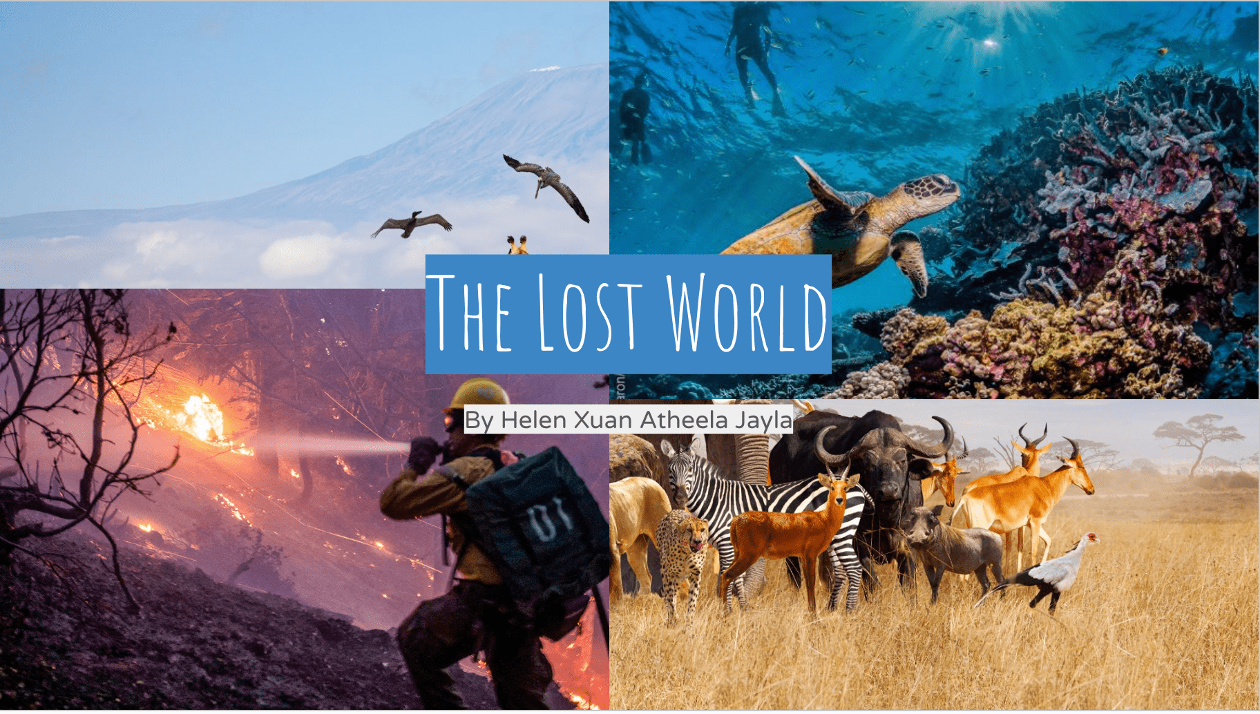 Cover image for The lost World
