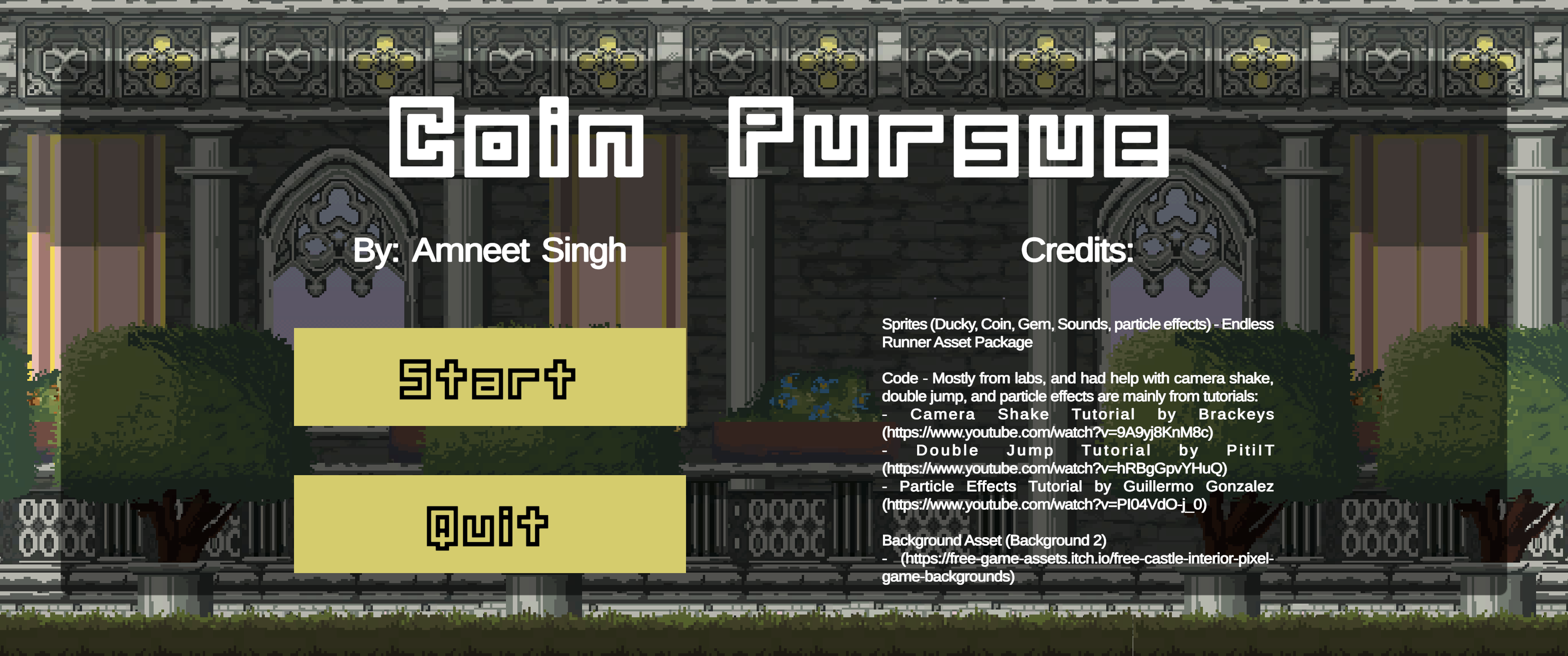 Coin Pursue
