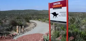 Cover image for Rincon Colorado