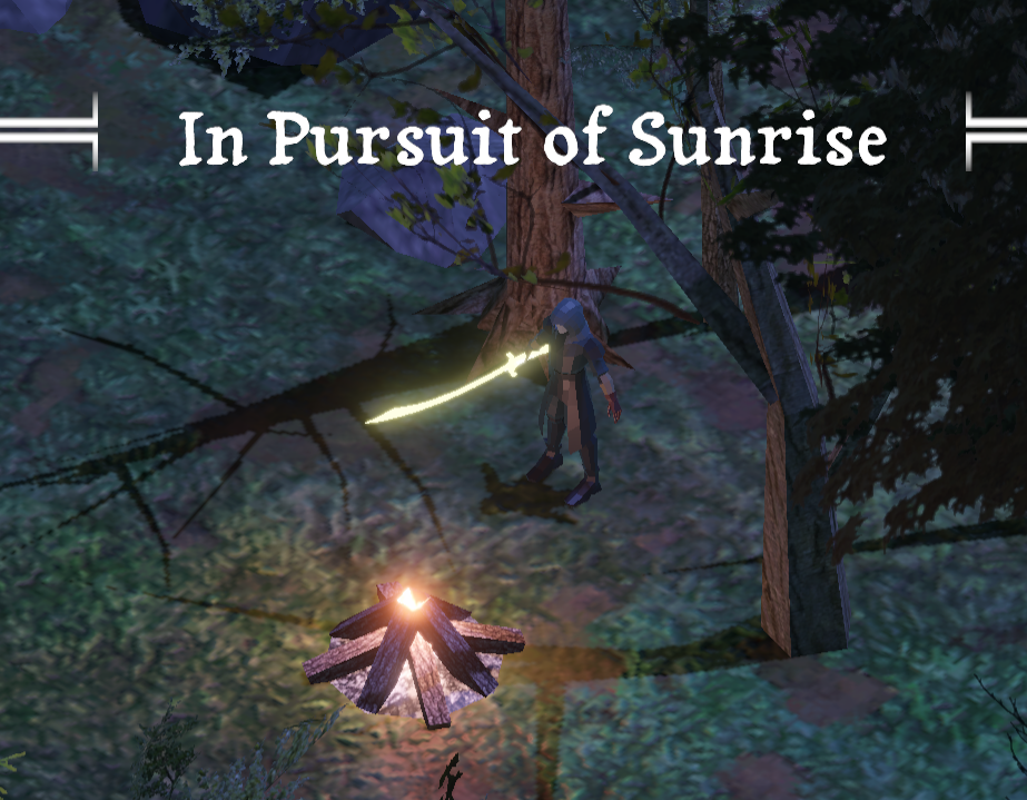 Cover image for In Pursuit of Sunrise