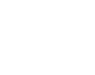 Beyond the Bloom