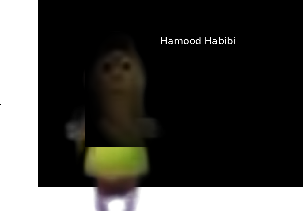 Cover image for Hamood Habibi.exe