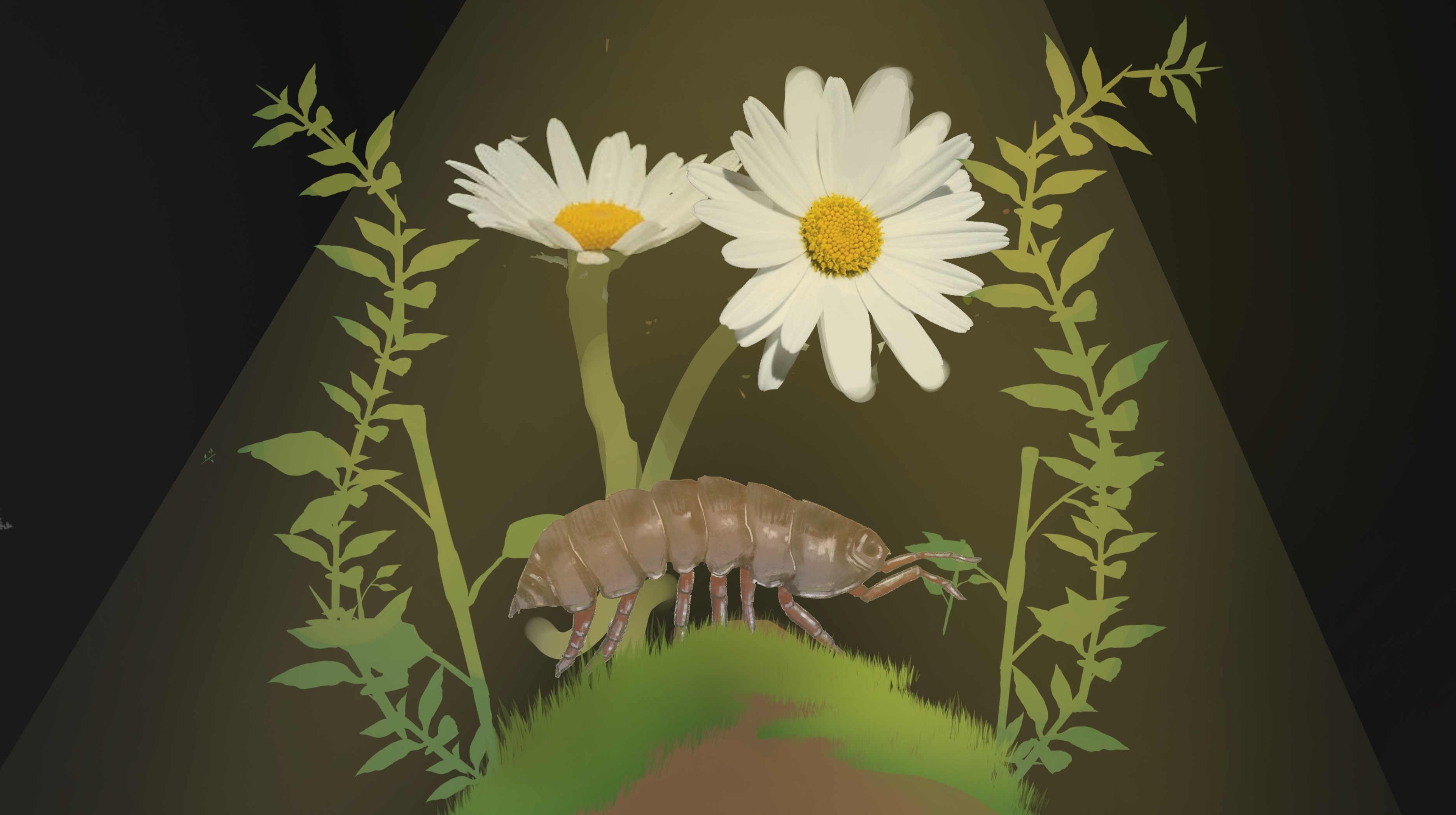Cover image for Leap What You Sow