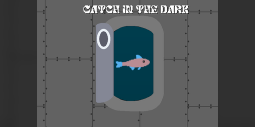 Cover image for Catch in the Dark