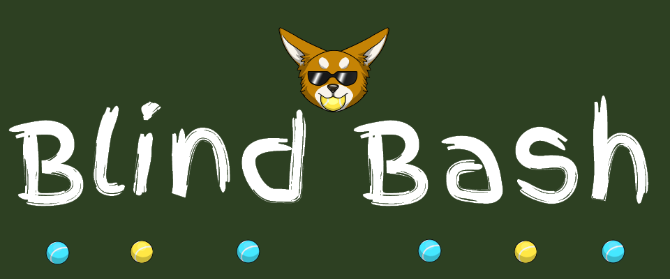 Blind Bash
