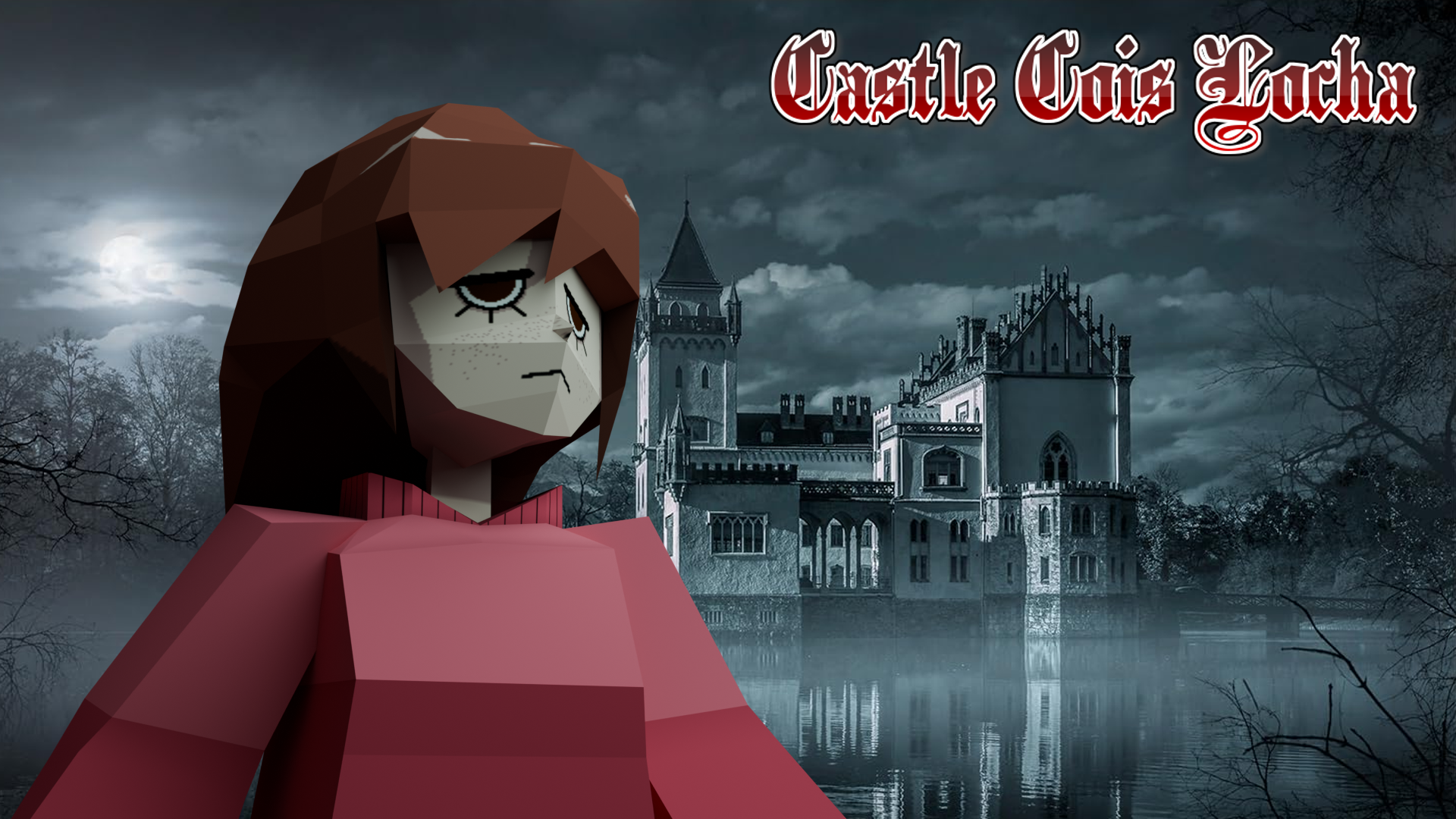 Cover image for Castle Cois Locha