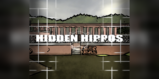 Cover image for Hidden Hippos