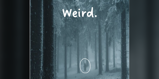 Cover image for Weird.