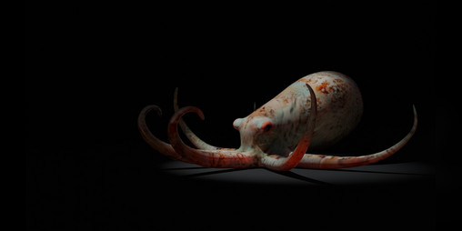 Cover image for Udra