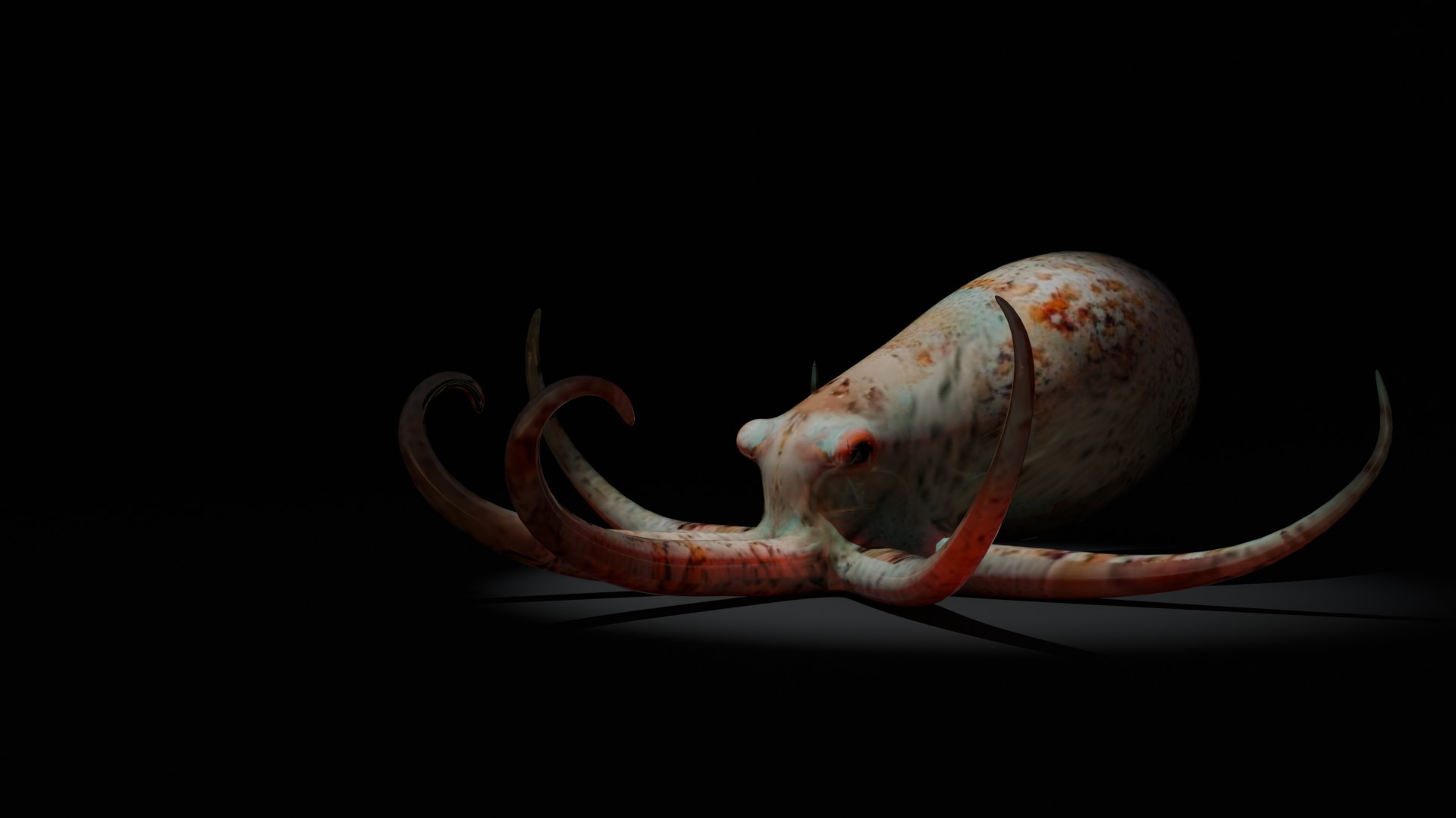 Cover image for Udra