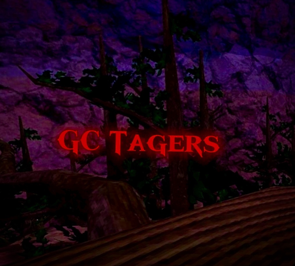 CG Taggers