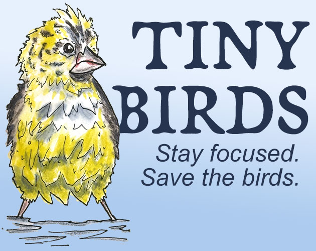 Cover image for Tiny Birds