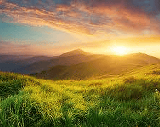 Landscape Simulator