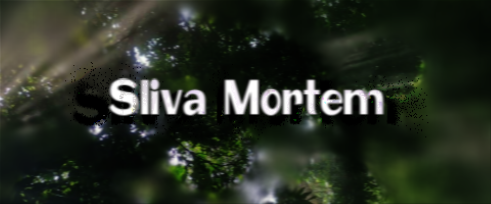 Sliva Mortem