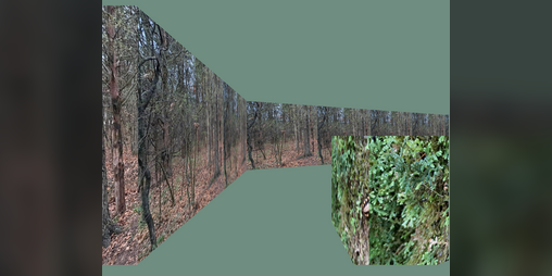 Cover image for Moss Eater 3D