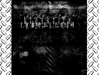 Cover image for blackfile: CyberCraft