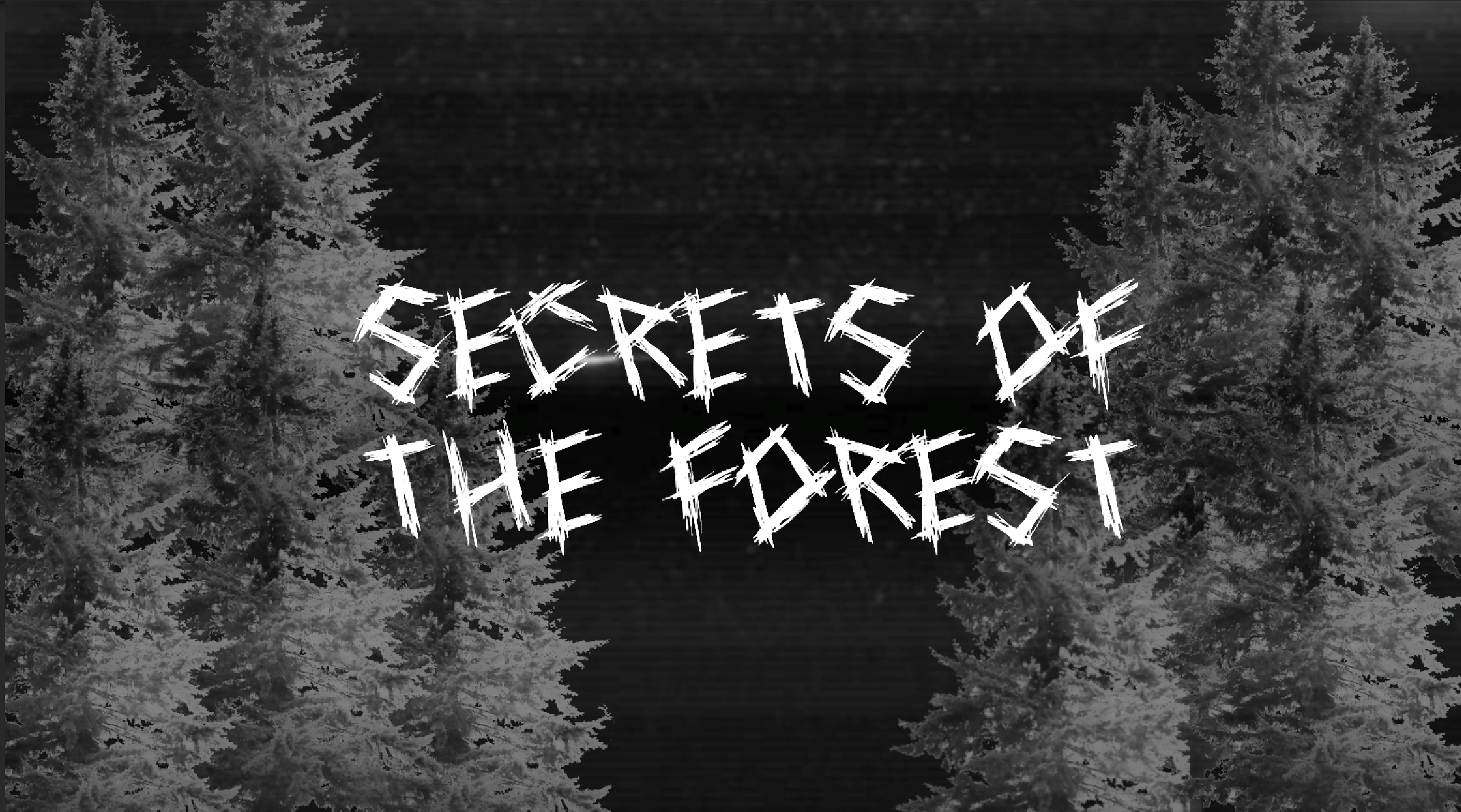 Secrets of The Forest