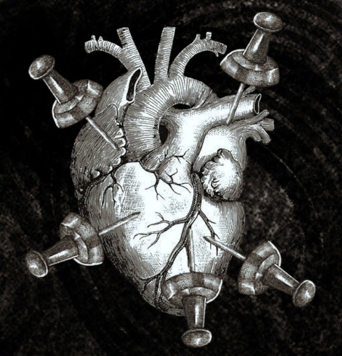 Cover image for Prove You Bleed