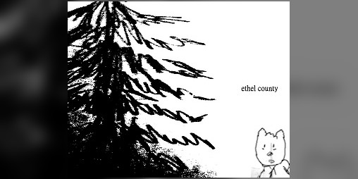Cover image for ethel county