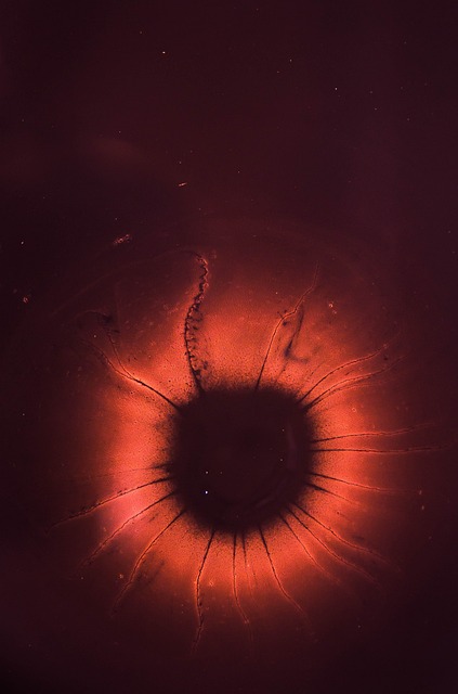 Cover image for La Sombra en la Pupila - Microrrelato