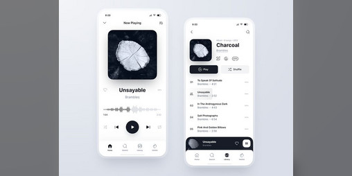 Cover image for Mizik