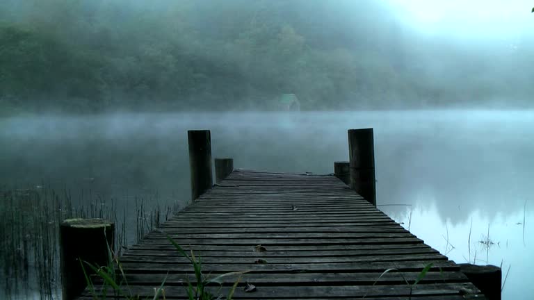 Cover image for Legend Trip