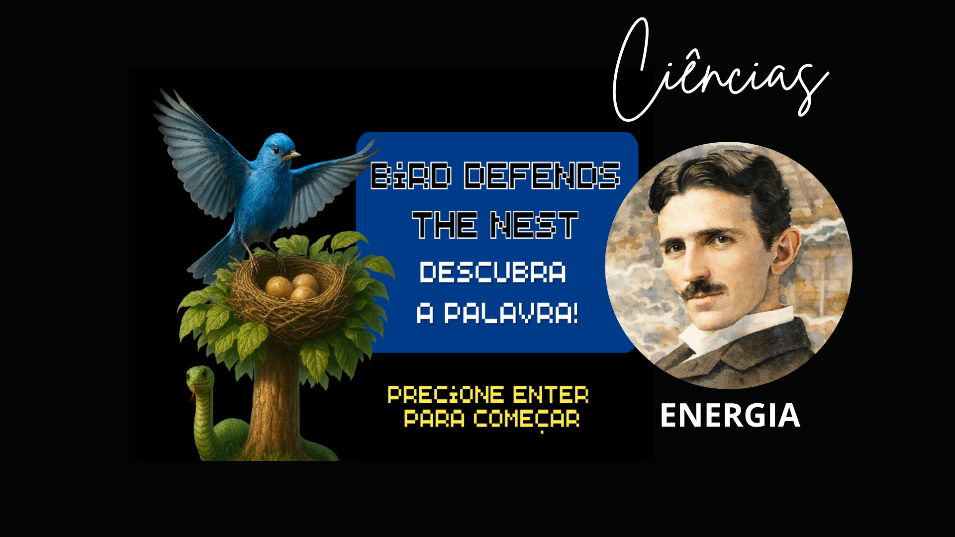 Cover image for Bird Defends the Nest - Ciências - Energia para celular