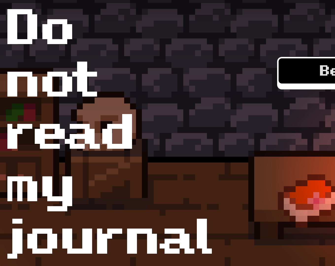 Cover image for Do Not Read My Journal