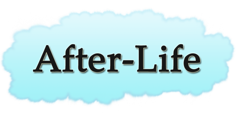 AfterLife / After-Life