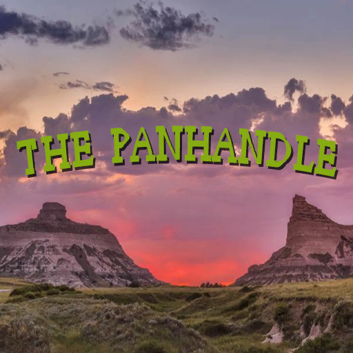 Cover image for The Panhandle