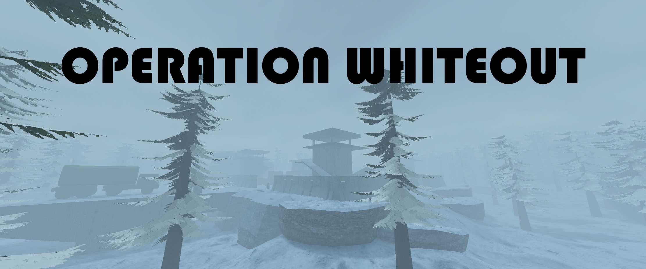 Operation Whiteout