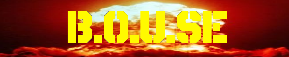 Cover image for B.O.U.S.E