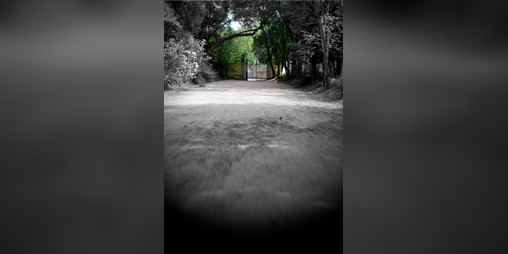 Cover image for Crossroads