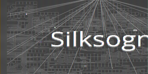 Cover image for Silksogn