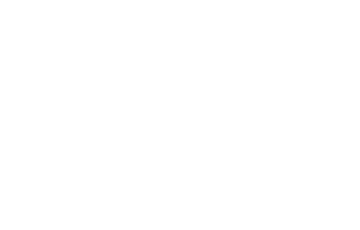 Spectators