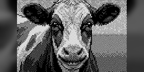 Cover image for i need beef.