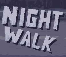 Cover image for Night Walk