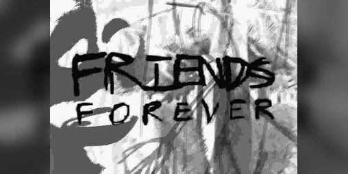 Cover image for FRIENDS FOREVER