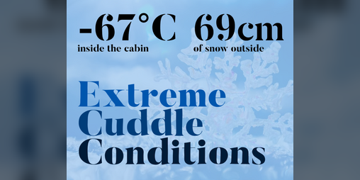 Cover image for Extreme Cuddle Conditions