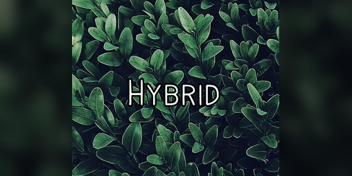 Cover image for Hybrid