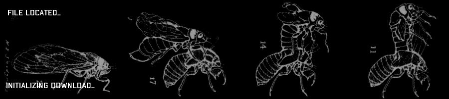 CAIN: The Harpocrates Dossier