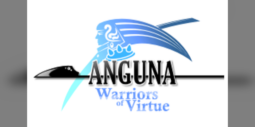 Cover image for Anguna