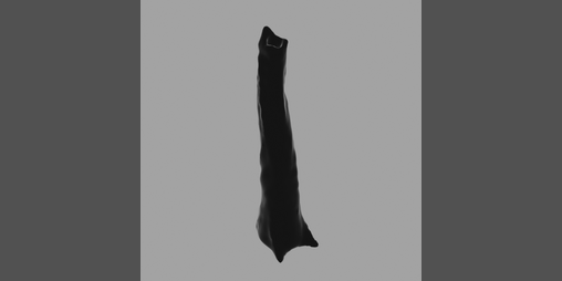 Cover image for (NSFW) The Ovipositor