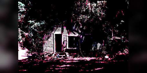 Cover image for selfreflection