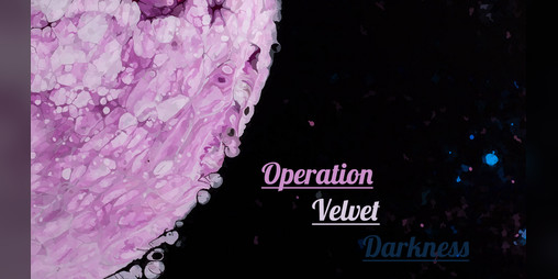 Cover image for Operation Velvet Darkness