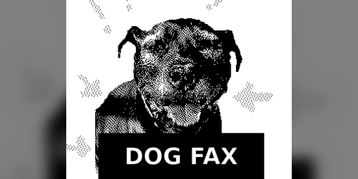 Cover image for DogFax