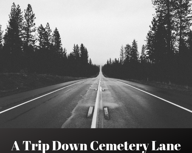 Cover image for A Trip Down Cemetery Lane
